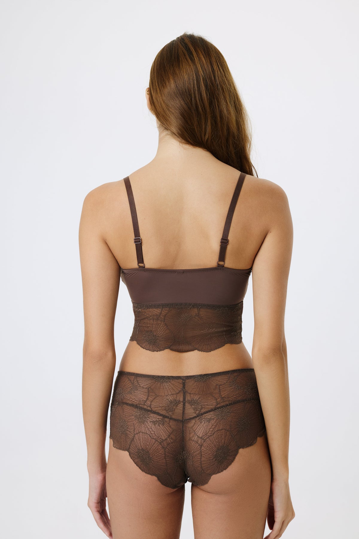 Anemone Brief | Choco