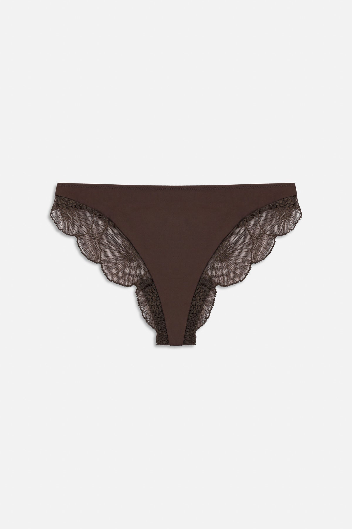 Anemone Thong | Choco