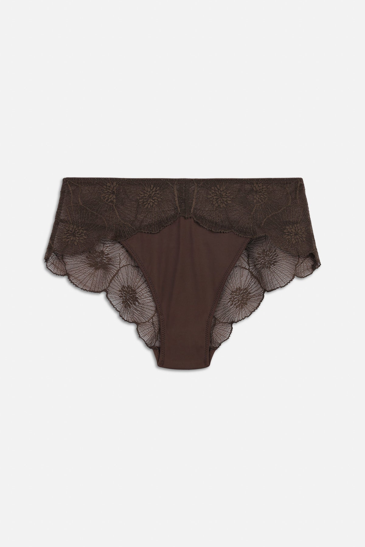 Anemone Brief | Choco